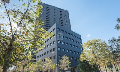 Main photo