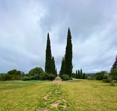 Main photo